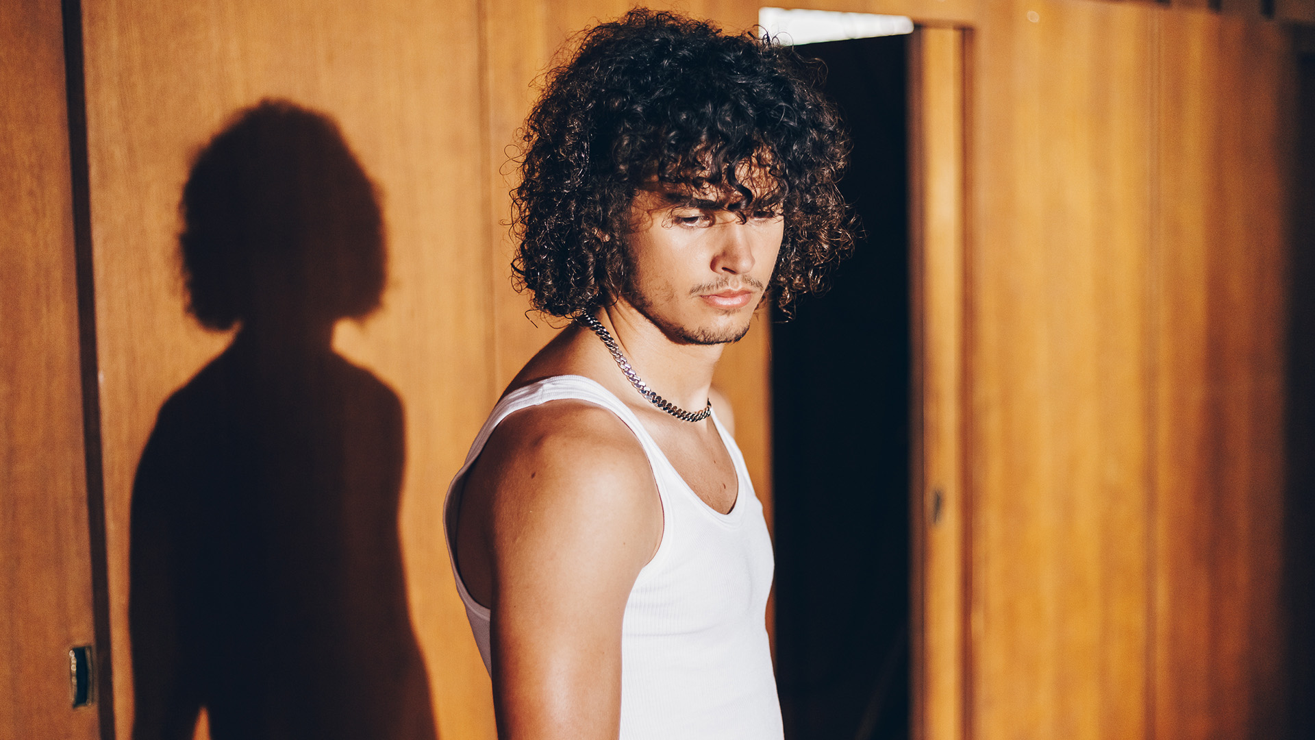 Pozadinska slika sekcije